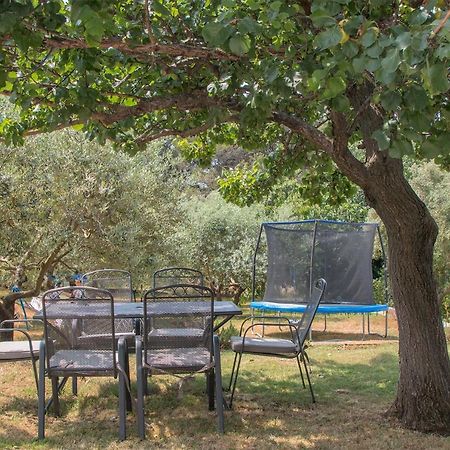 Apartman Olea بولا المظهر الخارجي الصورة
